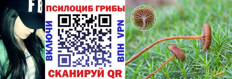 Псилоцибиновые грибы MAGIC MUSHROOMS  Шлиссельбург 